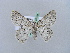  (Pingasa lahayei australis - BC ZSM Lep 20979)  @13 [ ] CreativeCommons - Attribution Non-Commercial Share-Alike (2010) Unspecified SNSB, Zoologische Staatssammlung Muenchen