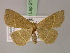  ( - BC ZSM Lep 21801)  @13 [ ] CreativeCommons - Attribution Non-Commercial Share-Alike (2010) Unspecified SNSB, Zoologische Staatssammlung Muenchen