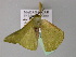  ( - BC ZSM Lep 24531)  @12 [ ] CreativeCommons - Attribution Non-Commercial Share-Alike (2010) Unspecified SNSB, Zoologische Staatssammlung Muenchen