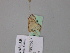  (Scopula minuta - BC ZSM Lep 24542)  @11 [ ] CreativeCommons - Attribution Non-Commercial Share-Alike (2010) Unspecified SNSB, Zoologische Staatssammlung Muenchen