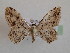  ( - BC MI 0029)  @13 [ ] Unspecified (default): All Rights Reserved  Unspecified Unspecified