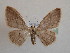  ( - BC MI 0050)  @13 [ ] Unspecified (default): All Rights Reserved  Unspecified Unspecified