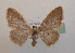  ( - BC MI 0051)  @13 [ ] Unspecified (default): All Rights Reserved  Unspecified Unspecified
