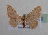  ( - BC MI 0080)  @12 [ ] Unspecified (default): All Rights Reserved  Unspecified Unspecified