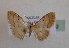  ( - BC MI 0082)  @12 [ ] Unspecified (default): All Rights Reserved  Unspecified Unspecified