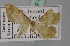  ( - BC ZSM Lep 23802)  @13 [ ] CreativeCommons - Attribution Non-Commercial Share-Alike (2010) Unspecified SNSB, Zoologische Staatssammlung Muenchen