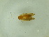  ( - BC ZSM Lep 92645)  @11 [ ] CreativeCommons - Attribution Non-Commercial Share-Alike (2016) Axel Hausmann/Bavarian State Collection of Zoology (ZSM) SNSB, Zoologische Staatssammlung Muenchen