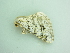  ( - BC ZSM Lep 92715)  @13 [ ] CreativeCommons - Attribution Non-Commercial Share-Alike (2016) Axel Hausmann/Bavarian State Collection of Zoology (ZSM) SNSB, Zoologische Staatssammlung Muenchen