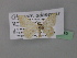  ( - BC ZSM Lep 19645)  @13 [ ] CreativeCommons - Attribution Non-Commercial Share-Alike (2010) Unspecified SNSB, Zoologische Staatssammlung Muenchen