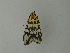  (Vitessa UB19 - BC ZSM Lep 20850)  @12 [ ] CreativeCommons - Attribution Non-Commercial Share-Alike (2010) Unspecified SNSB, Zoologische Staatssammlung Muenchen