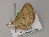  ( - BC ZSM Lep 22573)  @13 [ ] CreativeCommons - Attribution Non-Commercial Share-Alike (2010) Unspecified SNSB, Zoologische Staatssammlung Muenchen