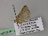  ( - BC ZSM Lep 22584)  @12 [ ] CreativeCommons - Attribution Non-Commercial Share-Alike (2010) Unspecified SNSB, Zoologische Staatssammlung Muenchen