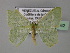  ( - BC ZSM Lep 24462)  @13 [ ] CreativeCommons - Attribution Non-Commercial Share-Alike (2010) Unspecified SNSB, Zoologische Staatssammlung Muenchen
