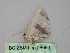  ( - BC ZSM Lep 26090)  @12 [ ] CreativeCommons - Attribution Non-Commercial Share-Alike (2010) Unspecified SNSB, Zoologische Staatssammlung Muenchen