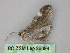  ( - BC ZSM Lep 26094)  @12 [ ] CreativeCommons - Attribution Non-Commercial Share-Alike (2010) Unspecified SNSB, Zoologische Staatssammlung Muenchen