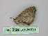  ( - BC ZSM Lep 26110)  @12 [ ] CreativeCommons - Attribution Non-Commercial Share-Alike (2010) Unspecified SNSB, Zoologische Staatssammlung Muenchen