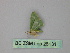  ( - BC ZSM Lep 26131)  @12 [ ] CreativeCommons - Attribution Non-Commercial Share-Alike (2010) Unspecified SNSB, Zoologische Staatssammlung Muenchen