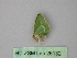  ( - BC ZSM Lep 26132)  @12 [ ] CreativeCommons - Attribution Non-Commercial Share-Alike (2010) Unspecified SNSB, Zoologische Staatssammlung Muenchen