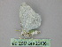  ( - BC ZSM Lep 26136)  @12 [ ] CreativeCommons - Attribution Non-Commercial Share-Alike (2010) Unspecified SNSB, Zoologische Staatssammlung Muenchen