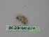  ( - BC ZSM Lep 26147)  @12 [ ] CreativeCommons - Attribution Non-Commercial Share-Alike (2010) Unspecified SNSB, Zoologische Staatssammlung Muenchen