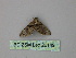  ( - BC ZSM Lep 26149)  @12 [ ] CreativeCommons - Attribution Non-Commercial Share-Alike (2010) Unspecified SNSB, Zoologische Staatssammlung Muenchen