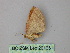  ( - BC ZSM Lep 26165)  @12 [ ] CreativeCommons - Attribution Non-Commercial Share-Alike (2010) Unspecified SNSB, Zoologische Staatssammlung Muenchen
