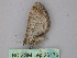  ( - BC ZSM Lep 26176)  @12 [ ] CreativeCommons - Attribution Non-Commercial Share-Alike (2010) Unspecified SNSB, Zoologische Staatssammlung Muenchen