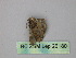  ( - BC ZSM Lep 26180)  @12 [ ] CreativeCommons - Attribution Non-Commercial Share-Alike (2010) Unspecified SNSB, Zoologische Staatssammlung Muenchen