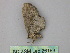 ( - BC ZSM Lep 26183)  @13 [ ] CreativeCommons - Attribution Non-Commercial Share-Alike (2010) Unspecified SNSB, Zoologische Staatssammlung Muenchen