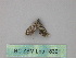  ( - BC ZSM Lep 18301)  @12 [ ] CreativeCommons - Attribution Non-Commercial Share-Alike (2010) Unspecified SNSB, Zoologische Staatssammlung Muenchen