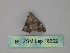  ( - BC ZSM Lep 18302)  @12 [ ] CreativeCommons - Attribution Non-Commercial Share-Alike (2010) Unspecified SNSB, Zoologische Staatssammlung Muenchen