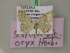  ( - BC ZSM Lep 20099)  @13 [ ] CreativeCommons - Attribution Non-Commercial Share-Alike (2010) Unspecified SNSB, Zoologische Staatssammlung Muenchen