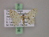  (Scopula ossicolorAH01Tz - BC ZSM Lep 20116)  @14 [ ] CreativeCommons - Attribution Non-Commercial Share-Alike (2010) Unspecified SNSB, Zoologische Staatssammlung Muenchen