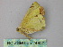  ( - BC ZSM Lep 24840)  @12 [ ] CreativeCommons - Attribution Non-Commercial Share-Alike (2010) Unspecified SNSB, Zoologische Staatssammlung Muenchen