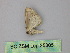  ( - BC ZSM Lep 25805)  @12 [ ] CreativeCommons - Attribution Non-Commercial Share-Alike (2010) Unspecified SNSB, Zoologische Staatssammlung Muenchen