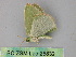  ( - BC ZSM Lep 25832)  @13 [ ] CreativeCommons - Attribution Non-Commercial Share-Alike (2010) Unspecified SNSB, Zoologische Staatssammlung Muenchen