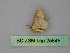 (Eois AH09Pe - BC ZSM Lep 25845)  @13 [ ] CreativeCommons - Attribution Non-Commercial Share-Alike (2010) Unspecified SNSB, Zoologische Staatssammlung Muenchen