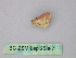  (Eois AH12Pe - BC ZSM Lep 25887)  @12 [ ] CreativeCommons - Attribution Non-Commercial Share-Alike (2010) Unspecified SNSB, Zoologische Staatssammlung Muenchen