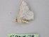  ( - BC ZSM Lep 25890)  @12 [ ] CreativeCommons - Attribution Non-Commercial Share-Alike (2010) Unspecified SNSB, Zoologische Staatssammlung Muenchen