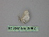  (Scopula AH02Pe - BC ZSM Lep 25907)  @12 [ ] CreativeCommons - Attribution Non-Commercial Share-Alike (2010) Unspecified SNSB, Zoologische Staatssammlung Muenchen