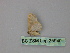  ( - BC ZSM Lep 25940)  @12 [ ] CreativeCommons - Attribution Non-Commercial Share-Alike (2010) Unspecified SNSB, Zoologische Staatssammlung Muenchen