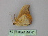  ( - BC ZSM Lep 25977)  @12 [ ] CreativeCommons - Attribution Non-Commercial Share-Alike (2010) Unspecified SNSB, Zoologische Staatssammlung Muenchen