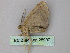  ( - BC ZSM Lep 25997)  @13 [ ] CreativeCommons - Attribution Non-Commercial Share-Alike (2010) Unspecified SNSB, Zoologische Staatssammlung Muenchen