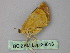  ( - BC ZSM Lep 26013)  @12 [ ] CreativeCommons - Attribution Non-Commercial Share-Alike (2010) Unspecified SNSB, Zoologische Staatssammlung Muenchen