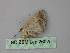  ( - BC ZSM Lep 26025)  @12 [ ] CreativeCommons - Attribution Non-Commercial Share-Alike (2010) Unspecified SNSB, Zoologische Staatssammlung Muenchen