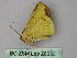  ( - BC ZSM Lep 26033)  @12 [ ] CreativeCommons - Attribution Non-Commercial Share-Alike (2010) Unspecified SNSB, Zoologische Staatssammlung Muenchen