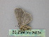  ( - BC ZSM Lep 26034)  @12 [ ] CreativeCommons - Attribution Non-Commercial Share-Alike (2010) Unspecified SNSB, Zoologische Staatssammlung Muenchen