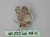  ( - BC ZSM Lep 26051)  @12 [ ] CreativeCommons - Attribution Non-Commercial Share-Alike (2010) Unspecified SNSB, Zoologische Staatssammlung Muenchen