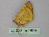  ( - BC ZSM Lep 26079)  @12 [ ] CreativeCommons - Attribution Non-Commercial Share-Alike (2010) Unspecified SNSB, Zoologische Staatssammlung Muenchen