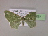  ( - BC ZSM Lep 06229)  @12 [ ] CreativeCommons - Attribution Non-Commercial Share-Alike (2010) Unspecified SNSB, Zoologische Staatssammlung Muenchen